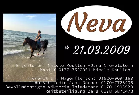 boxenschild pferd Pferde Neva Bild