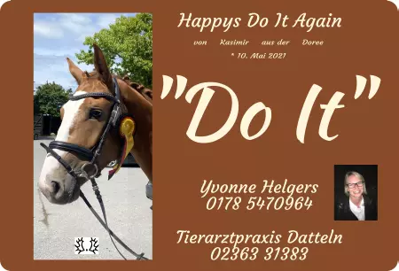 boxenschild pferd Pferde Happys Do It Again Bild