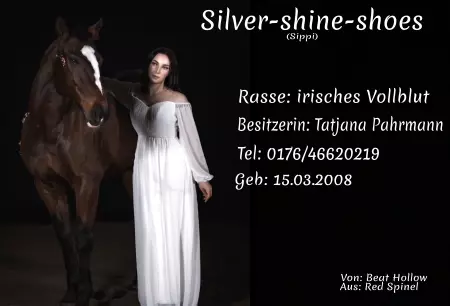 boxenschild pferd Pferde Silver-shine-shoes Bild